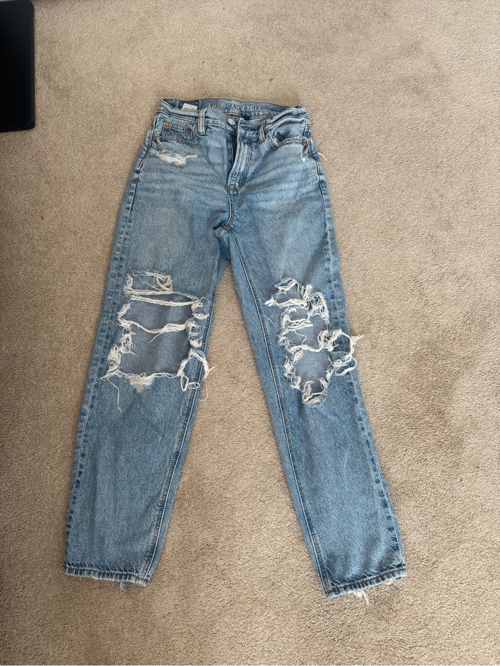 American Eagle Outfitters Light Blue Ripped Boyfriend Jeans